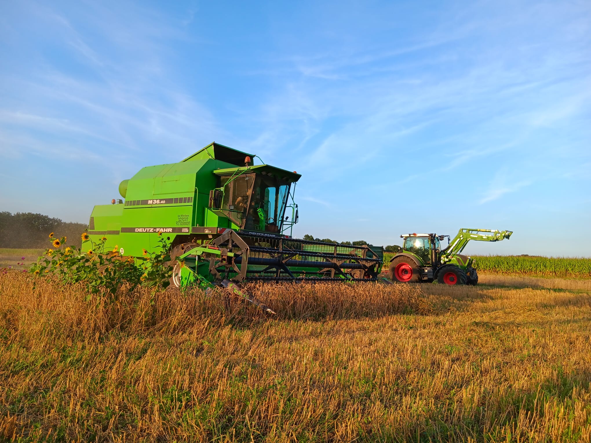 Mähdrescher und Traktor bei der Getreideernte am Hoffeld